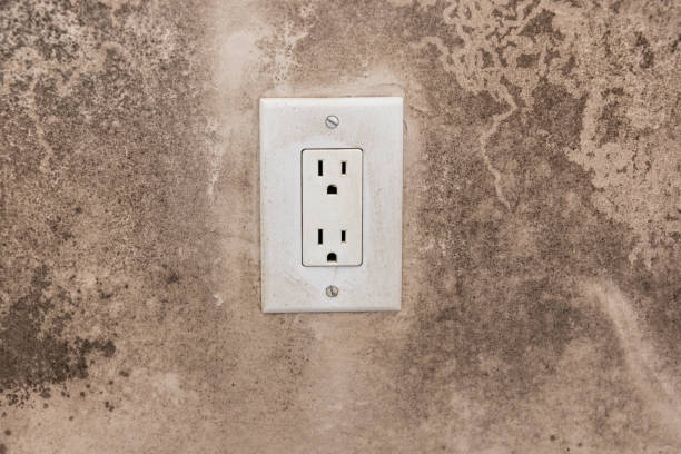 Asbestos and Lead Testing During Mold Inspection in Vineyard, UT